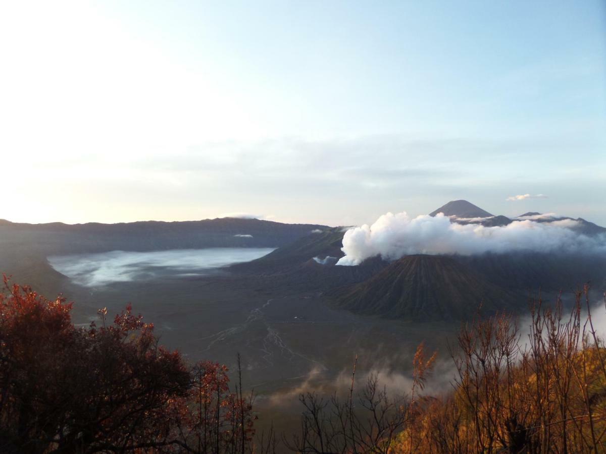 Rumah Singgah Brm Hotel Bromo Exterior photo